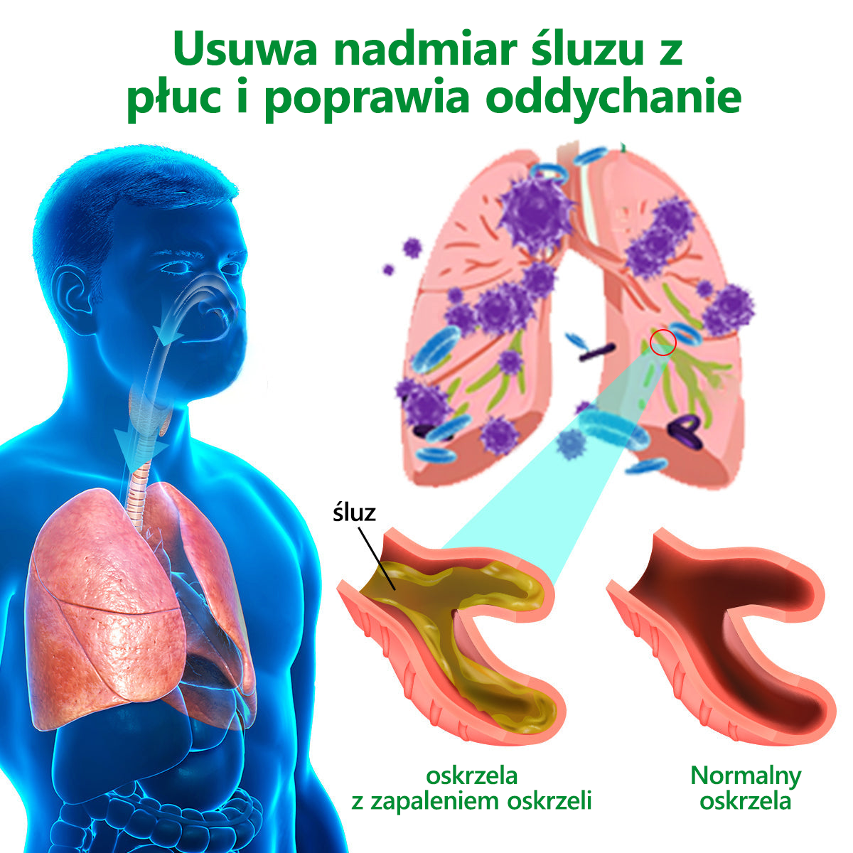 𝑳𝒆𝒓𝒄𝒆𝒂™💖𝐾𝑟𝑒𝑚 𝑟𝑒𝑔𝑒𝑛𝑒𝑟𝑢𝑗ą𝑐𝑦 𝑝ł𝑢𝑐𝑎 𝑧 𝑑𝑧𝑖𝑒𝑤𝑎𝑛𝑛𝑦 - 𝑍𝑎𝑡𝑤𝑖𝑒𝑟𝑑𝑧𝑜𝑛𝑦 𝑝𝑟𝑧𝑒𝑧 𝑃𝑜𝑙𝑠𝑘𝑖𝑒 𝑇𝑜𝑤𝑎𝑟𝑧𝑦𝑠𝑡𝑤𝑜 𝐶ℎ𝑜𝑟ó𝑏 𝐾𝑙𝑎𝑡𝑘𝑖 𝑃𝑖𝑒𝑟𝑠𝑖𝑜𝑤𝑒𝑗 𝑤 𝑐𝑒𝑙𝑢 𝑤𝑠𝑝𝑖𝑒𝑟𝑎𝑛𝑖𝑎 𝑧𝑑𝑟𝑜𝑤𝑖𝑎 𝑝ł𝑢𝑐 𝑥